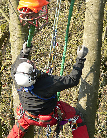 Helikopterfällung - Arbeitsverfahren 2