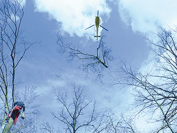 Helikopterfällung - Projekt: Helikopterfällung im Kochertal 3